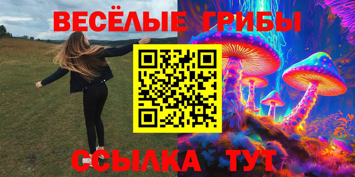 Псилоцибиновые грибы Psilocybine cubensis  Псилоцибиновые грибы MAGIC MUSHROOMS  Кувандык  Вход с VPN 